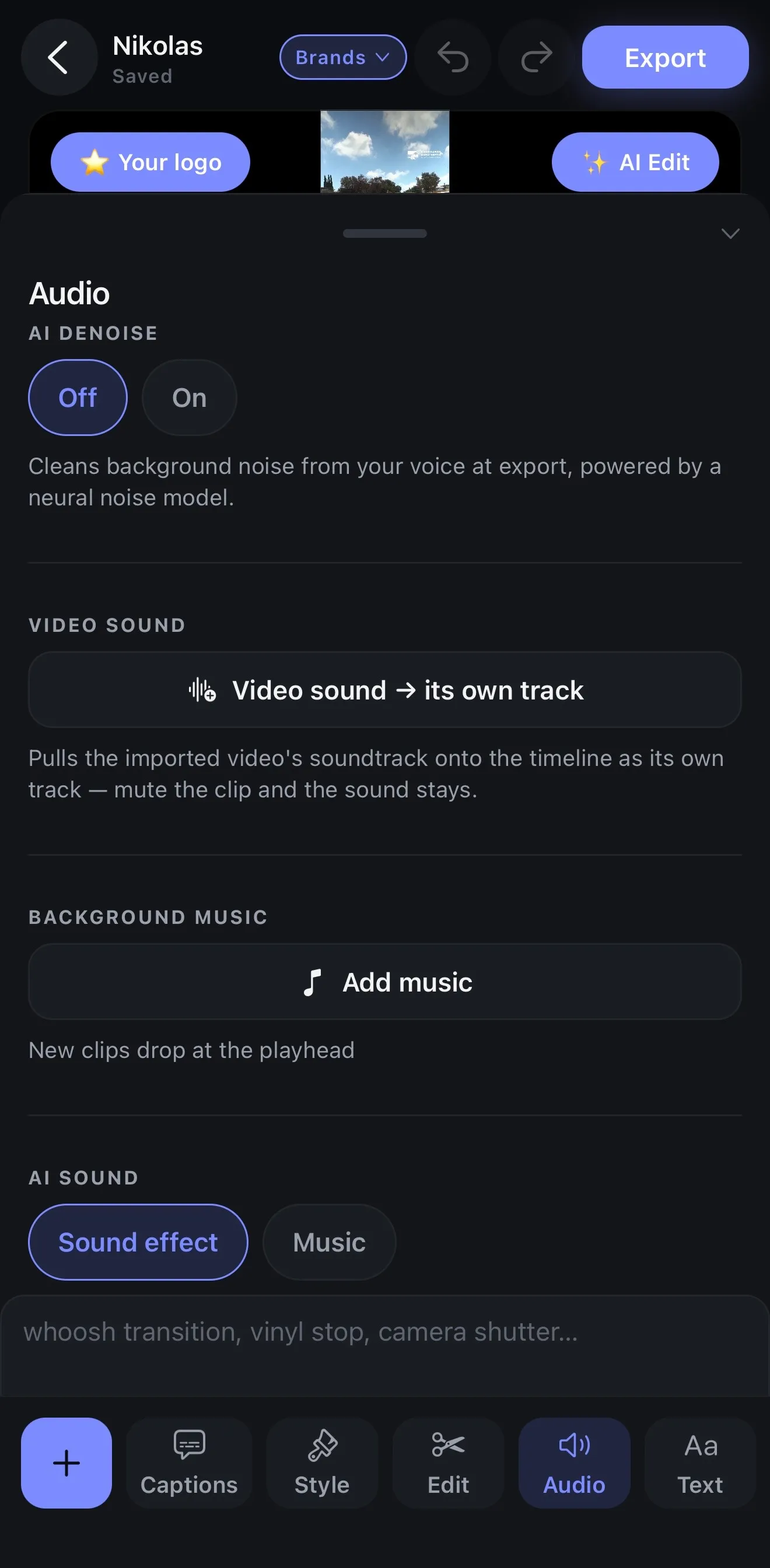 The Audio panel: AI denoise, background music, and AI voiceover with a voice picker